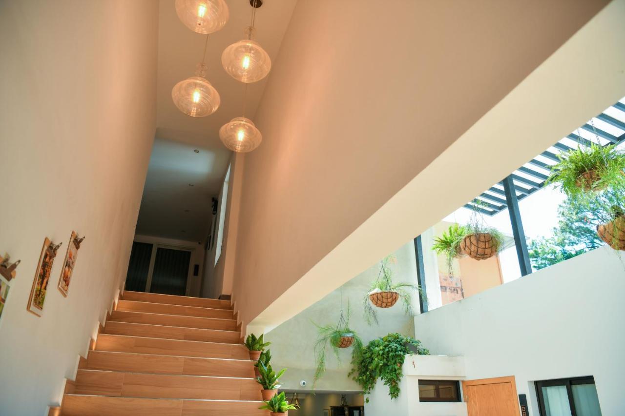 Kaleo Hotel Boutique San Salvador Exterior photo